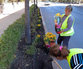 Общината разкрасява Сливен с близо 13 000 цветя, но вече започнаха кражби